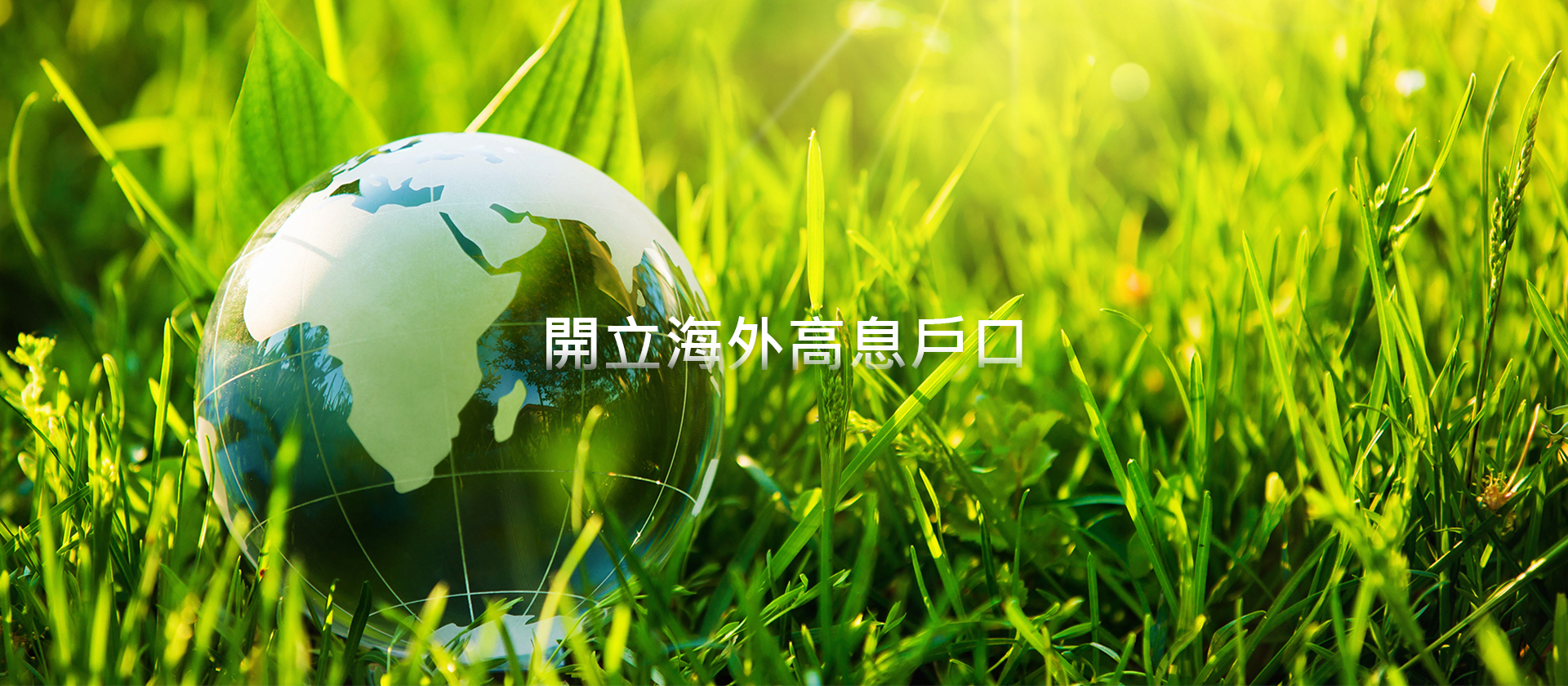開立海外高息戶口